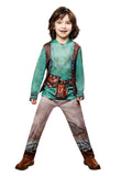 Hiccup, deluxe children's costume