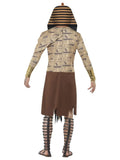 Zombie Pharaoh Halloween Costume back
