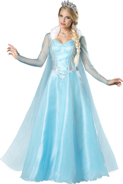 Snow and Ice Princess Adult Costume