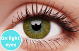 Basic Honey Contact Lenses Light Eyes