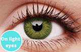 Green Contact Lenses 5 Pairs True Blend Light Eyes
