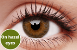 Grey Contact Lenses 5 Pairs True Blend Hazel eyes