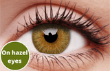 Hazel Contact Lenses 5 Pairs True Blend Hazel Eyes