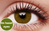 Basic Honey Contact Lenses Hazel Eyes