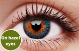 Blue Contact Lenses 5 Pairs True Blend for hazel  eyes