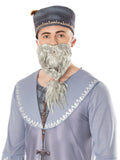 Dumbledore Adult Costume