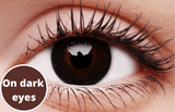 Basic Grey Contact Lenses Dark Eyes