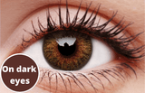 Hazel Contact Lenses 5 Pairs True Blend Dark Eyes