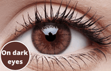 Brown Contact Lenses Dark Eyes