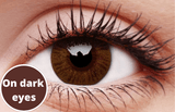 Basic Honey Contact Lenses Dark Eyes