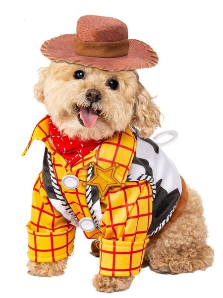 Woody Toy Story Pets Disney Costume