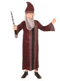 Professor Dumbledore Children's Book Week Harry Potter Costume 