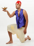 Aladdin Deluxe Costume for Men full
