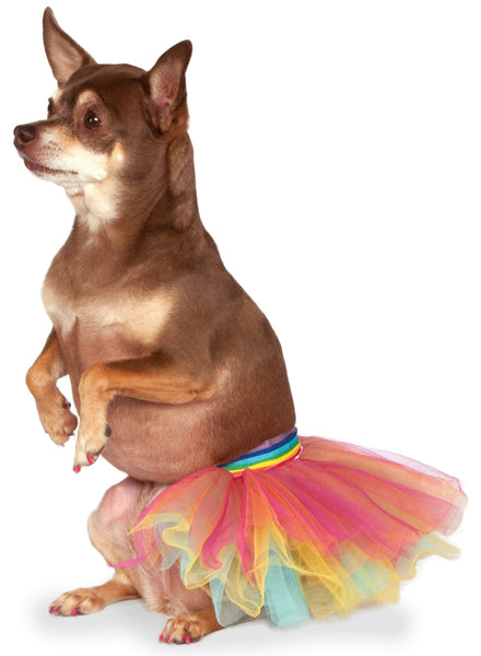 Rainbow Pet Tutu Accessory