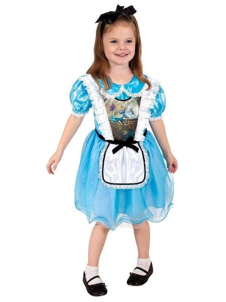 Alice In Wonderland Child Costume