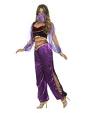Arabian Princess Purple Costume side