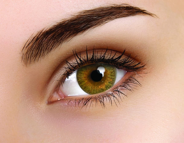 Coloured Contact Lenses Trueblends Brown