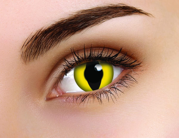 Coloured Contact Lenses Cat Eye Multi Use