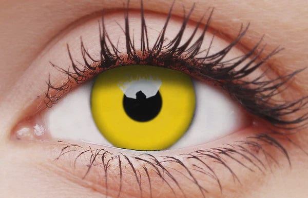 Yellow Coloured Contacts Lenses 1 Year