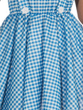 Dorothy adult costume skirt