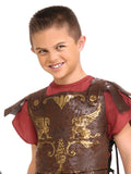Gladiator Costume for Boys top