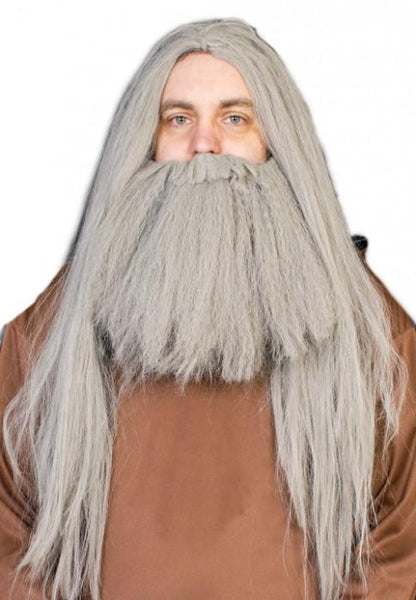 Grey Wizard Wig and Beard Costume Fancy Dress Set