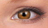 Coloured Contact Lenses Hazel