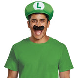 Super Mario Bros Luigi Hat and Moustache Kit
