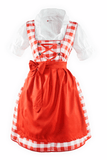 Oktoberfest Traditional German Beer Girl Costume Dirndl Romy