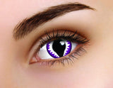 Coloured Contacts Purple Dragon 