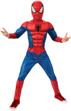 Spider-Man Boys Costume Deluxe