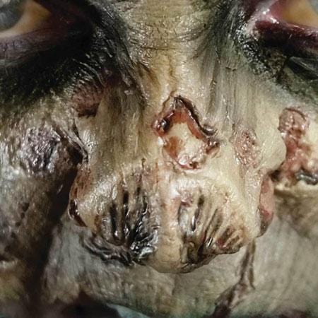 Zombie Nose Horror 3D FX Transfers Halloween Costume Makeup