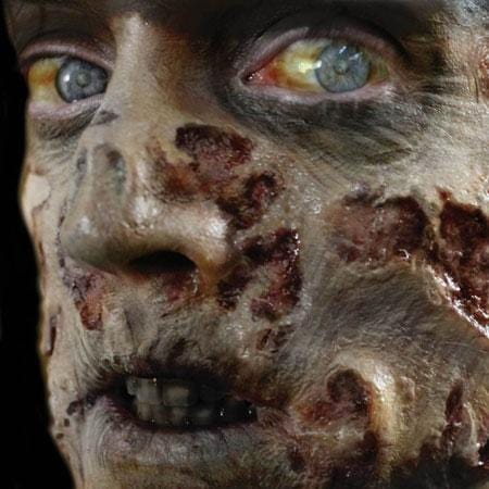 Zombie Rot Face Wounds Horror Makeup Halloween 3D FX Transfers face