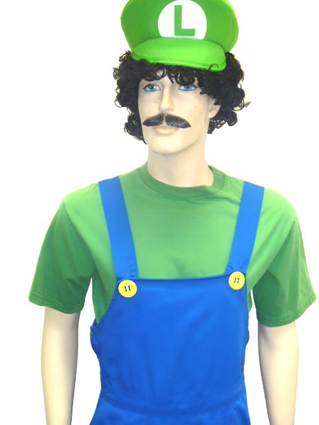 Luigi Mens Hire Costume
