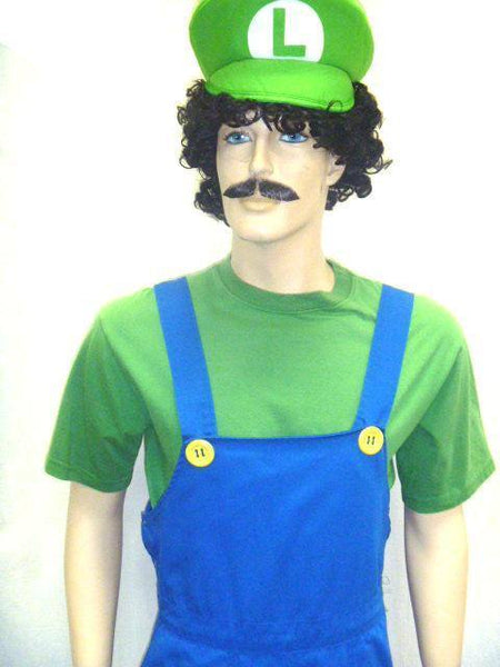 Luigi Mens Hire Costume
