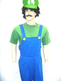 Luigi Men's Hire Costume