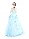 Costumes Women - Cinderella Deluxe Limited Edition Adult Princess Hire Costume