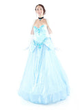Costumes Women - Cinderella Deluxe Limited Edition Adult Princess Hire Costume