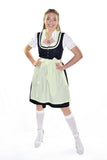 Oktoberfest Traditional German Beer Girl Costume Rustic Dirndl