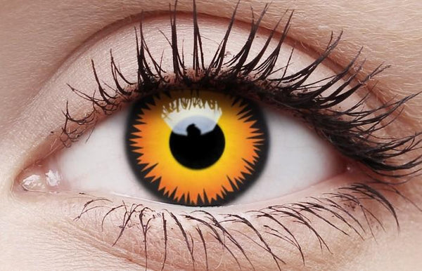 Halloween Coloured Contact Lens Single Use Orange Werewolf