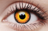 Coloured Halloween Contact Eye Lenses Orange Werewolf