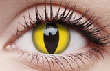 Cat Eye Halloween Contact Lenses