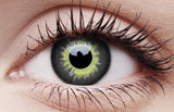 Coloured Contact Lenses Eclipse