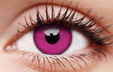 Contact Lenses Purple 