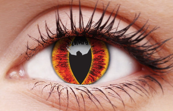 1 YEAR Contact Lenses Saurus Eye