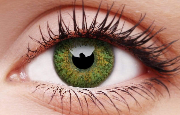 Green Contact Lenses 5 Pairs True Blend