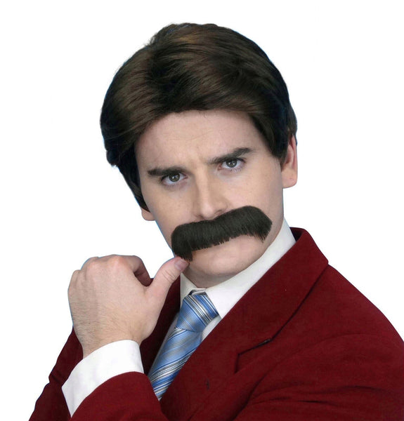 Ron Burgundy Costume Wig and Moustache