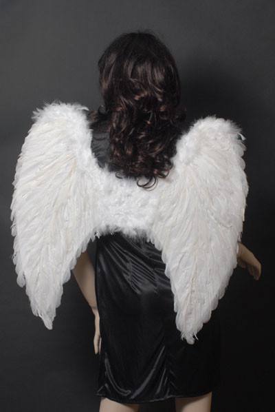 Wings - Angel Feather Wings White