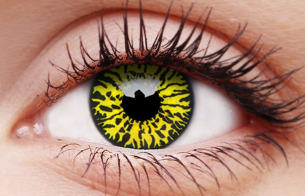 Yellow Eclipse Contact Lenses