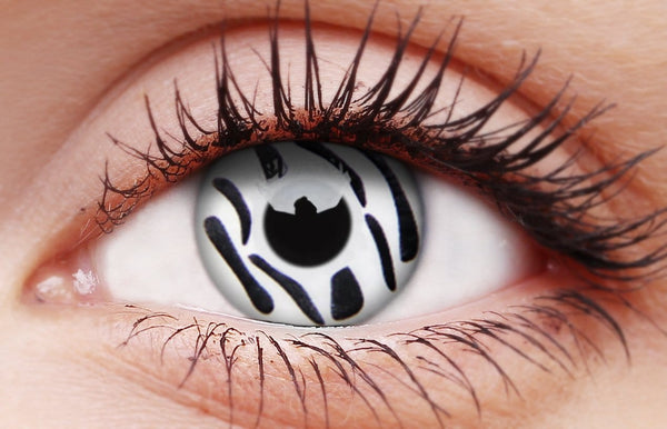 Zebra white with black stripes Halloween costume contact lenses